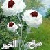أم فاطمة (@fatema2017ahmed) Twitter profile photo أم فاطمة (@fatema2017ahmed) Twitter profile photo