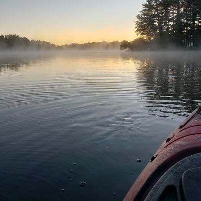 Blackbo96277595's profile picture. Just a black book