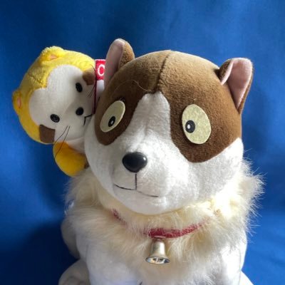 kashimu_HAMA's profile picture. 俺はカシム。濱のカシムだ。濱に生まれ、濱で育ち、濱を愛している。日々濱を走り獲物(ネタ)を探している。いい獲物ばかりじゃないが、気楽に読んでくれ。走りが遅いって、それは仕様だ。