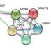 GNB5-Related Neurodevelopmental Disorders (@gnb5_ndd) Twitter profile photo GNB5-Related Neurodevelopmental Disorders (@gnb5_ndd) Twitter profile photo