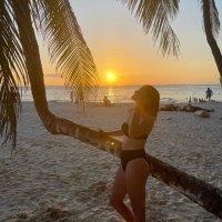 FLV (@thomasflavie3) 's Twitter Profile