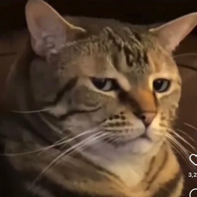 themightyzuul1's profile picture.
