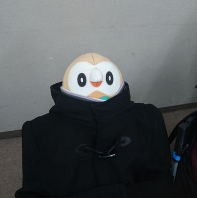 yukikingo14's profile picture. pokemon!!
何か色々なゲームしてるオタク