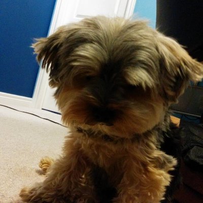 xKashLoL's profile picture. 25M Masters top main | FFXIV MNK | OSRS Main | enjoyer of anime and wubs