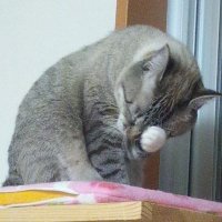 宣井 龍人 (多少復活~新たなフォロー御遠慮下さい。) (@noriiryujin) 's Twitter Profile Photo