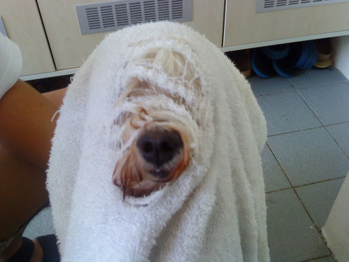 ShawnKeYChain's profile picture. Living on