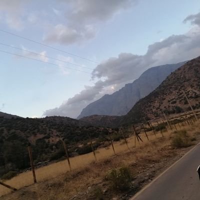 DreezAlv's profile picture. 