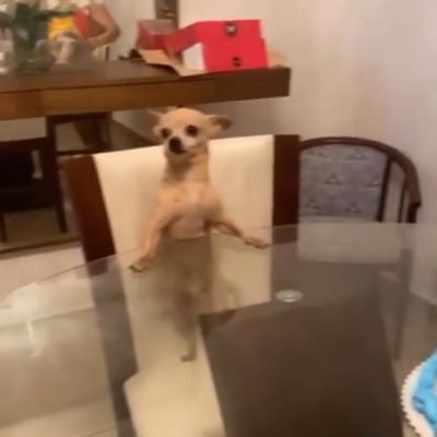 Victori79897636's profile picture. 