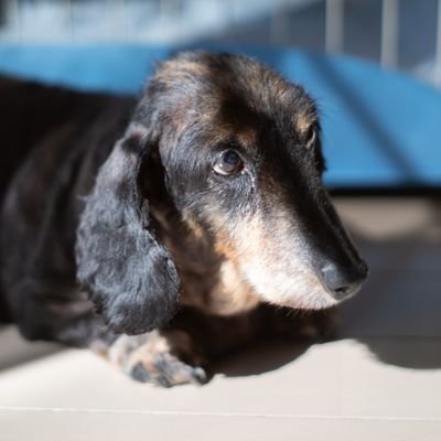 56nemui's profile picture. バイクとカメラが好きです