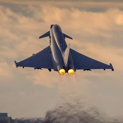 Anarchy9141's profile picture. The?