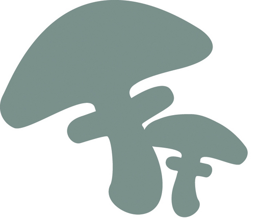 FungiForet's profile picture. Living & working between Brittany and Yorkshire so you can enjoy in October unique fungi foray weekend breaks in our beautifully restored home #Mushrooms France