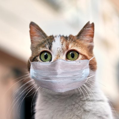 j8zee's profile picture. 