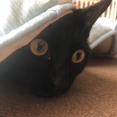 アイスコーヒーが好きなナズナさんのプロフィール画像