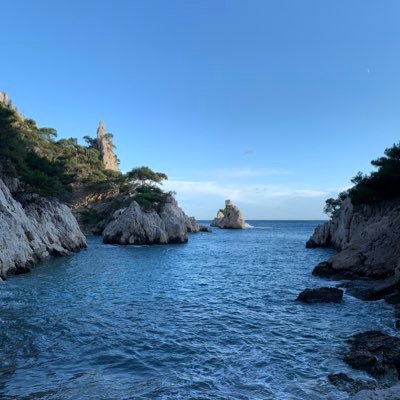 XavierMcrypto's profile picture. 