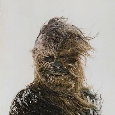 vraimentnaze's profile picture. Bien dans ses pompes
Idéaliste notoire 
Original sans doutes 
Grave à ses heures 
Râleur de première 
Addict  
Procrastinateur 
Homme 
Incorrigible 
Ect....