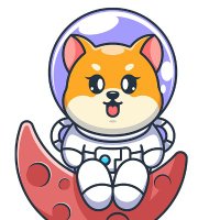 microDOGE (@microdogetoken) 's Twitter Profile