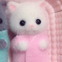 (≡^.^≡) (@nekousa_0) 's Twitter Profile