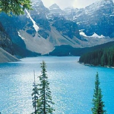 RZgPgCil3vcZTRP's profile picture. 政治，交朋友，做菜，旅行。。。。