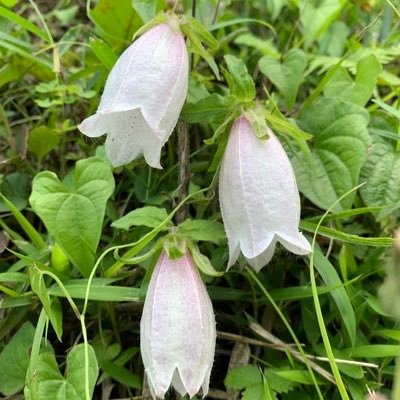 yu_to09300's profile picture. 