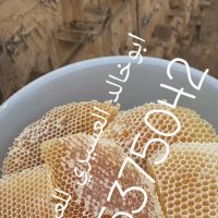 عسل سدر طبيعي (@tkgfkgkf) Twitter profile photo