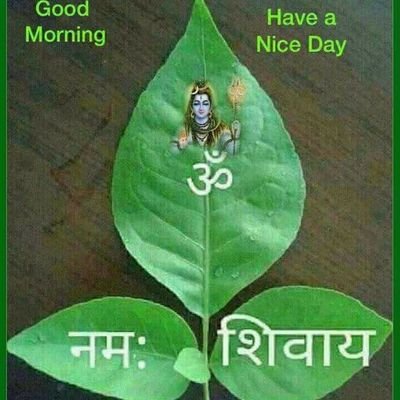 Aju3Saini's profile picture. 