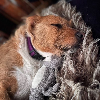 Creatingme2's profile picture. 