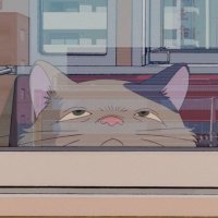 みやこ (@miyapipi02) 's Twitter Profile