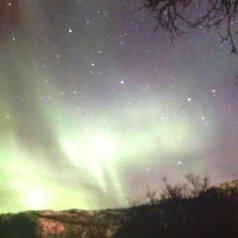 fickefackefuchs's profile picture. Ficke die fuckende Fuchs!11!1