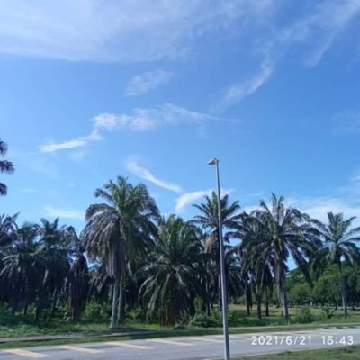 AminaAdedoja's profile picture. Muslimah || Chemical engineer || Researcher