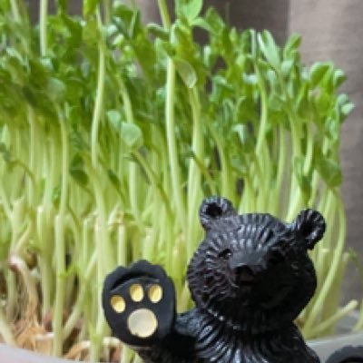 33exms_a's profile picture. 熊本→千葉→神奈川