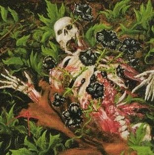 cadaverous0000's profile picture. Ultima Online@Atlantic / Beer / Travel 🇹🇼 / Wizardry Variants Daphne