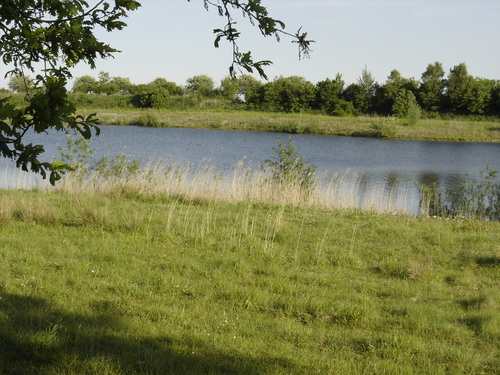 Freiberuflicher Landschaftsplaner mit den Aufgaben Gartenschauen,     regenerative Energien, Swingolf. Baurecht- Umweltaspekte, Marketing- Fördermittelberatung.