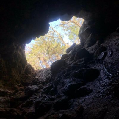 HANGINGMANMIKE's profile picture. Eh