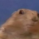 Rhiannon Carter - @rhiicarterzz - Twitter