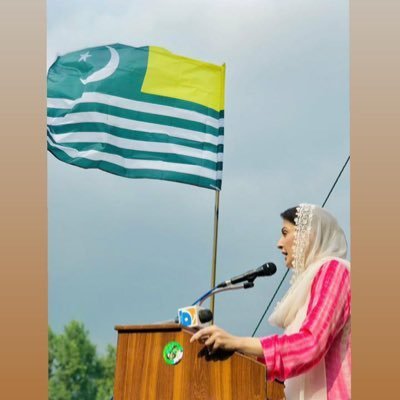 New on Twitter follow Back please #PMLN ❤️ @MaryamNSharif 😍