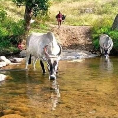 Yogesh_Ghorkhan Profile Picture