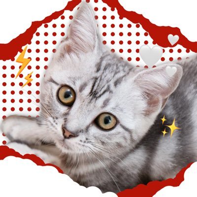 herocatthfc's profile picture. ดีใจที่ได้พบกัน ไม่ได้ไปไหนไกล จะยังอยู่ในความทรงจำ ตลอดไป  🤍 | #HeroCGM48 #นายเองก็เป็นได้นะฮีโร่น่ะ #CatidolbyCGM48