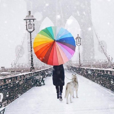 codegirl78's profile picture. 