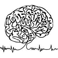 Brain Rhythms lab (@haegenslab) 's Twitter Profile Photo Brain Rhythms lab (@haegenslab) 's Twitter Profile Photo