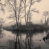 David Gordon (@davegordonart) 's Twitter Profile
