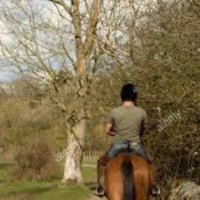 Hunter Bigges (@h_bigges) 's Twitter Profile