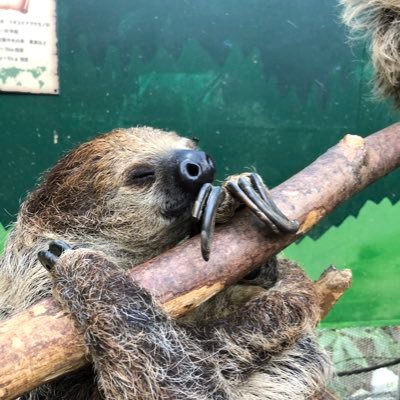 pon3takepon's profile picture. 主にtoCサービスのPdM  気がついたらキャリアずっとサブスク畑にいました 下手の横好きapexと再現性のあるプロダクトマネジメントを頑張るぞい

プロダクトマネジメントや事業開発、プロダクト開発に関してなにかあれば是非ご連絡ください！（副業募集中...）