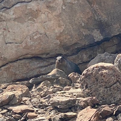 rkymtnhi78's profile picture. 