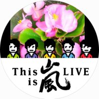 はしくれ くる 🌸 (@ms3vicotu5037l1) 's Twitter Profile Photo