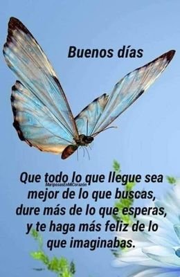 MarioBa65270461's profile picture. Ser feliz 🌟⭐