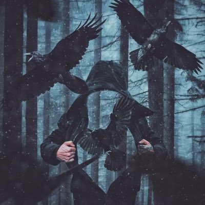 elshikq's profile picture. 