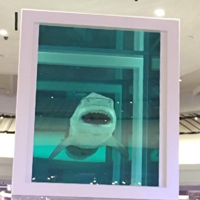 702Buzz's profile picture. 