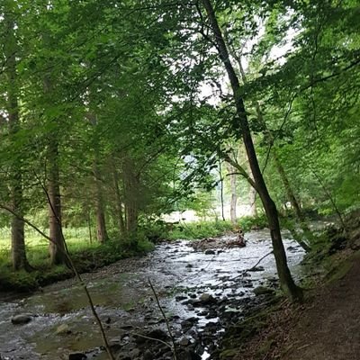 Ich verabscheue hinterhältige, korrupte Politiker.
Mir geht es hier nicht um viele Follower,sondern um ehrliche
Wer mich Faschist nennt wird sofort blockiert
