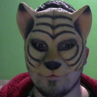 TigerGeekzueiro Profile Picture