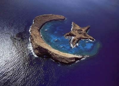 fosizn_member's profile picture. 부천시 원미구 약대동 93-1 (주)포시즌멤버스중개법인 공인중개사 이철희 라고 합니다.